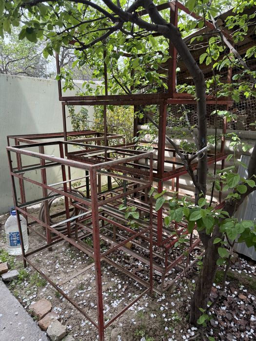 pirlavka bor ramkani