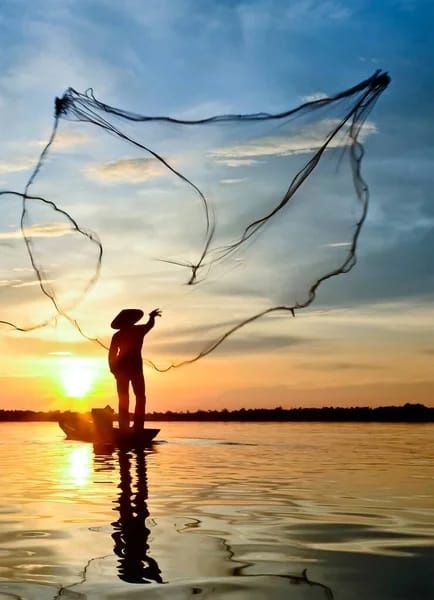 Успешный отдых. Сетки.