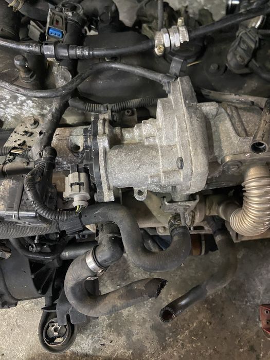 Egr ford focus 2 1.8tdci