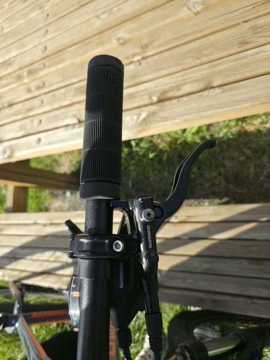 Bicicleta Carpat Wrangler