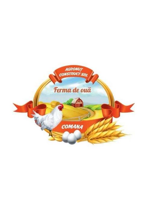 Vand Oua Bio, productie Ferma de la Gaini Isa Brown