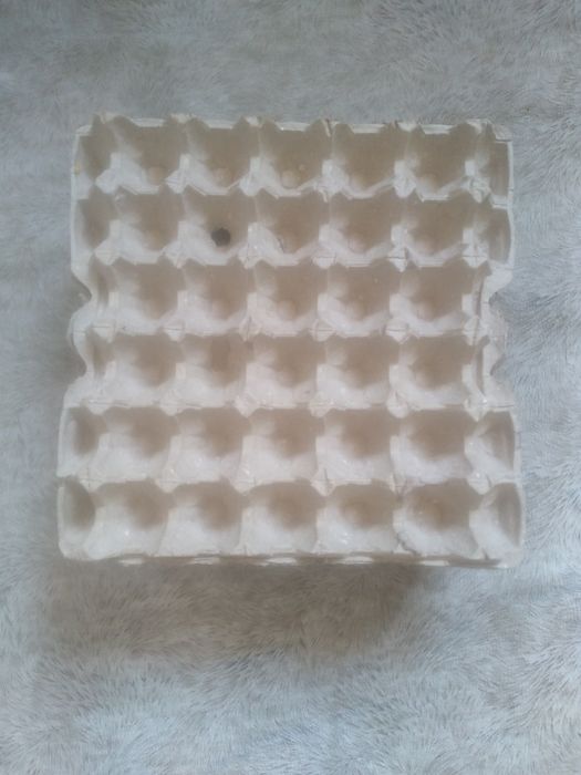 Тухум к,утиси  сотилади