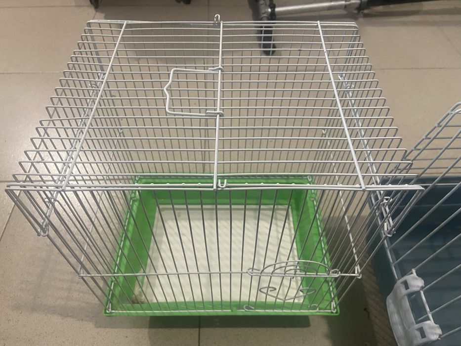 Животински клетки