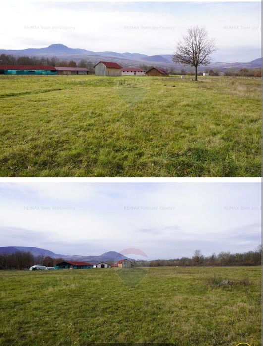 Vând Teren + Fermã+ Baltã de pește în Comuna Sãpânța județul Maramureș