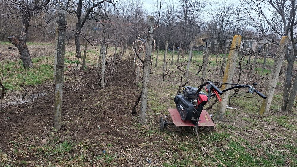 Lucrări(grădină)motocultor/motosapa/frezare sol