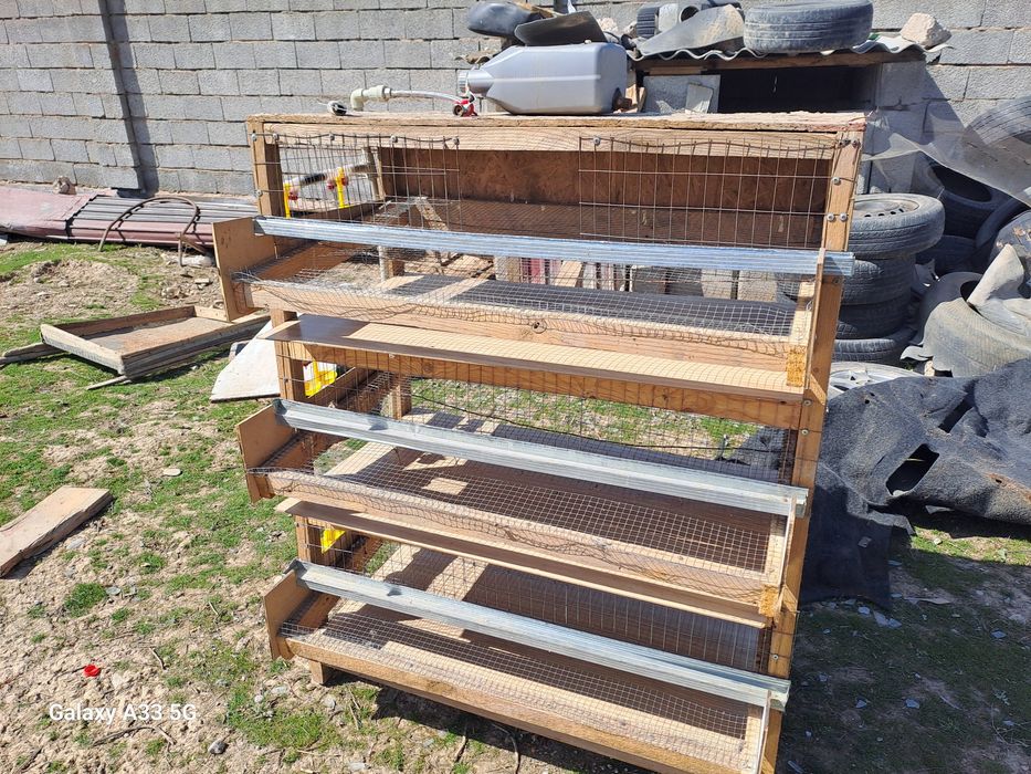 Бөдене клеткасы сатлады