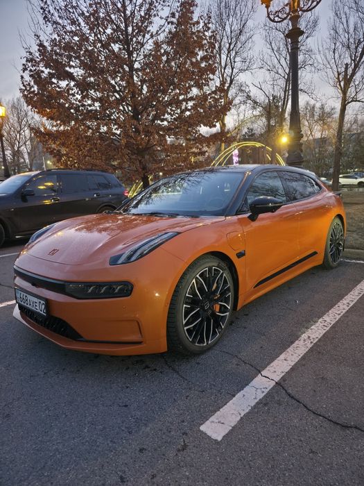 Обмен на овец и лошадей