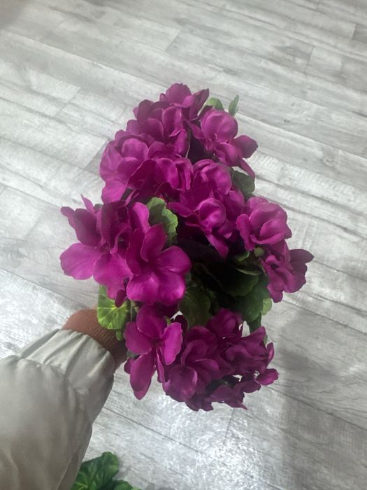 Gul optim narxda arginal