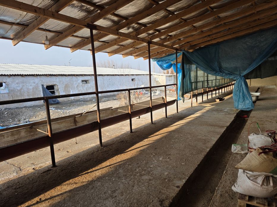 Карамол учун ферма   товук ферма  фабрика