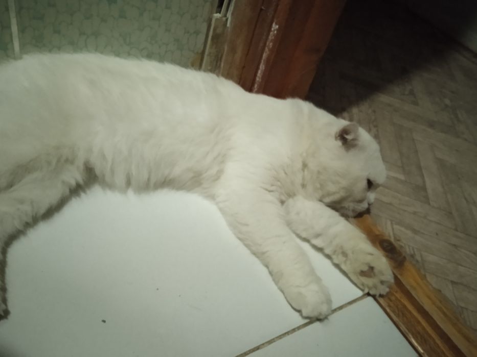 Приглашаем на вязку !!