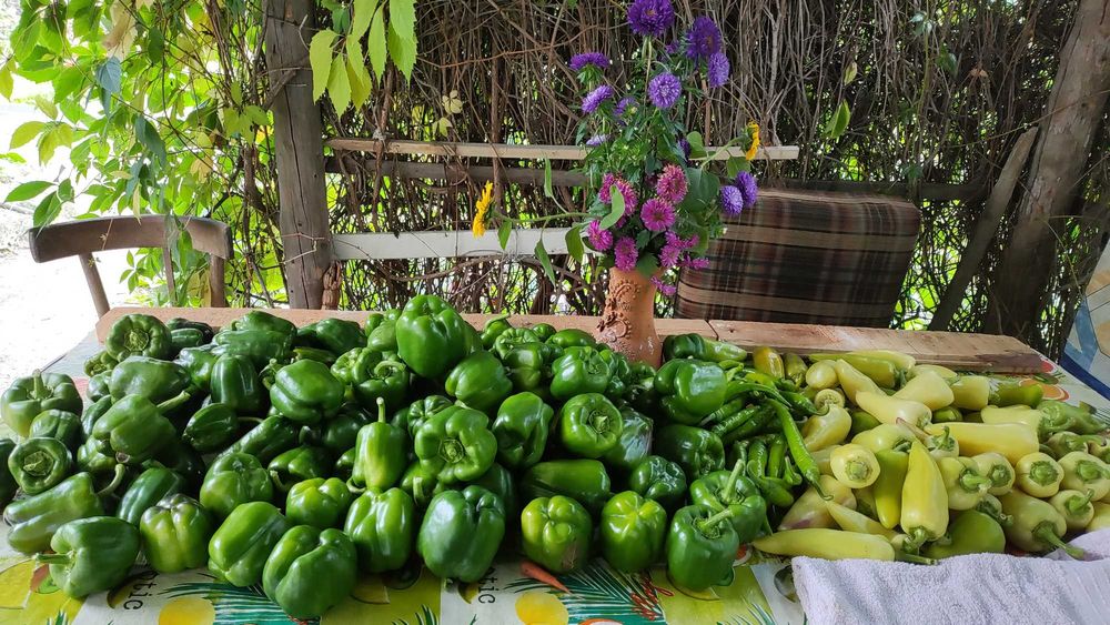 Продам дачу Каучук