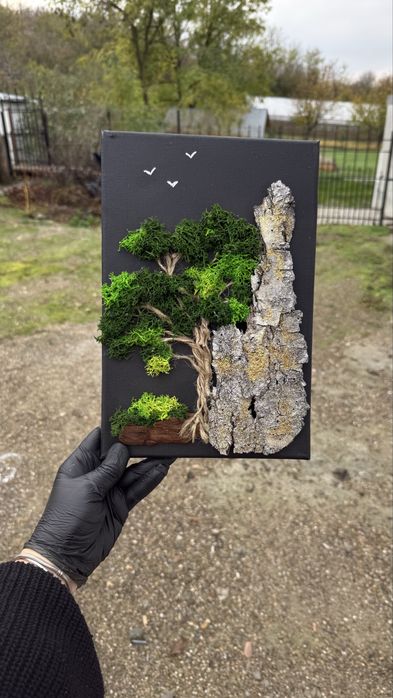 Tablou licheni 20x30