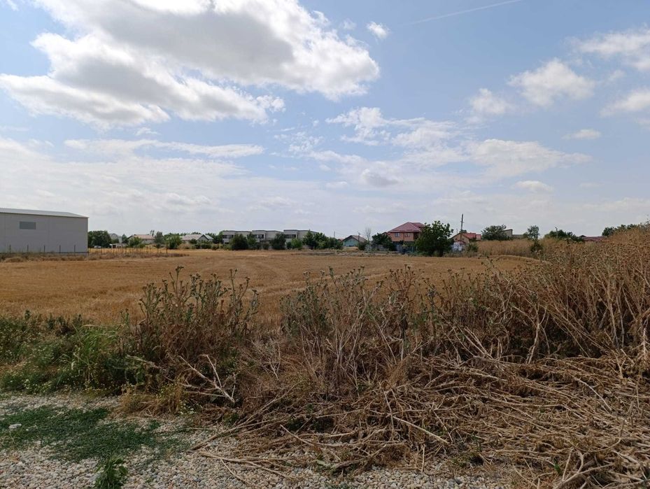 Vand Teren Intravilan 1040mp in Bragadiru