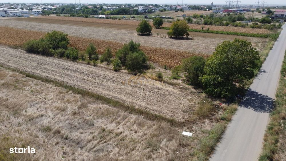 Teren intrare comuna Berceni, Codrului, 430 mp