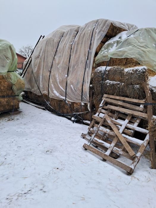 Baloti lucerna coasa 2.3.4