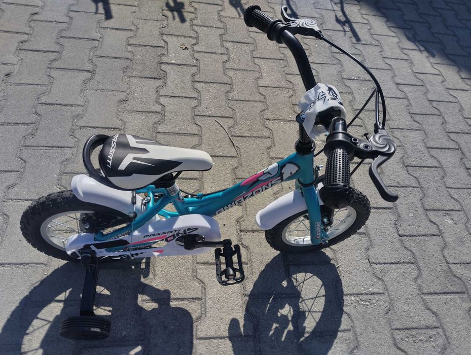 PASSATI Велосипед 12" AMAZONS син