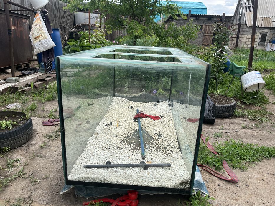 аквариум для рыб