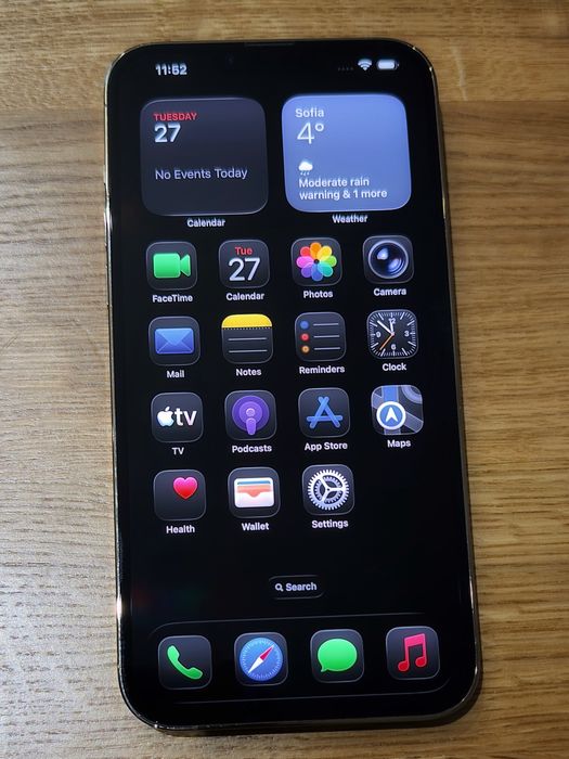 IPhone 13 Pro Max/ GOLDEN /