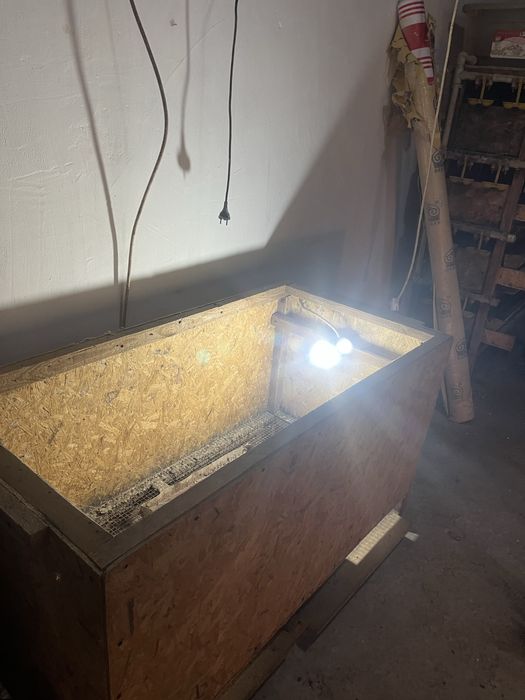 Брудер сатылады сеткалар бар