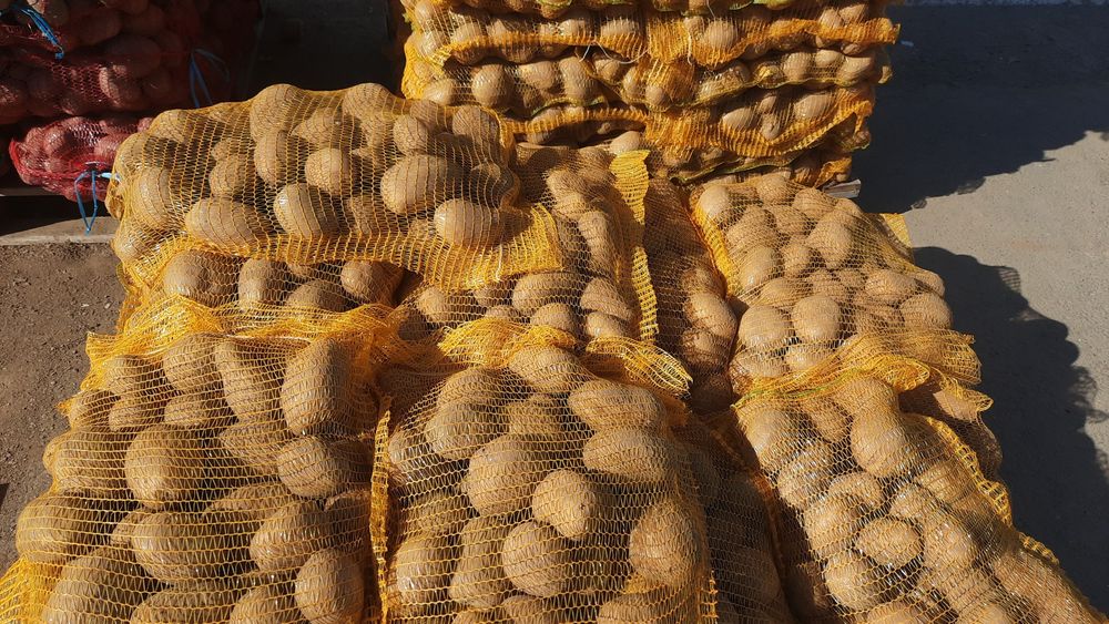 Vand Cartofi calibru 55+la sac 10kg si 25 kg