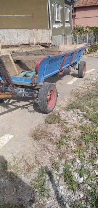 Cal cu cărută cu tot!!
