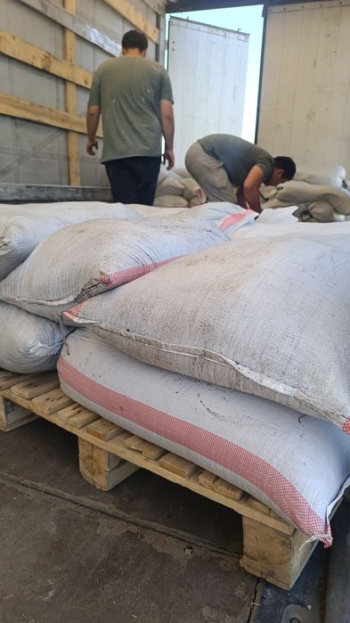 Продается натуральный Биогуммус 1000% гарантия.