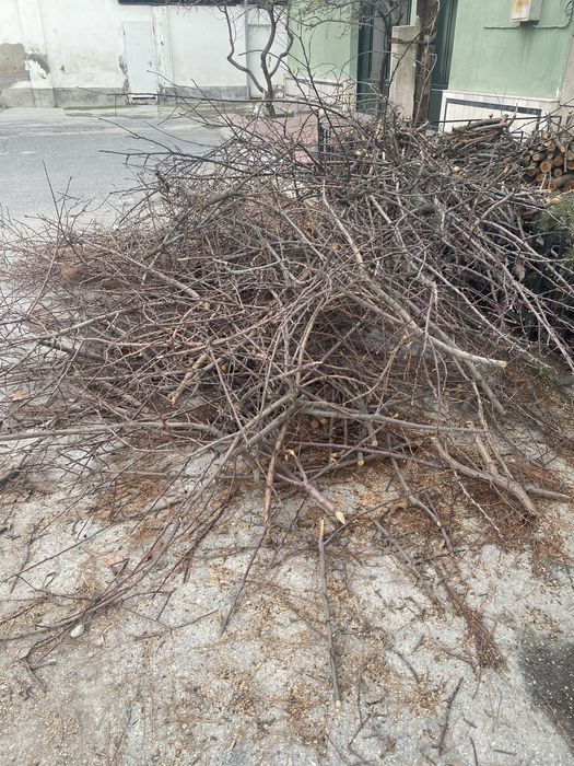 Хар хил дарахтлар утинлари.