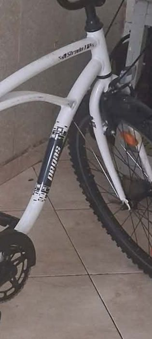 Bicicleta firma Pegas