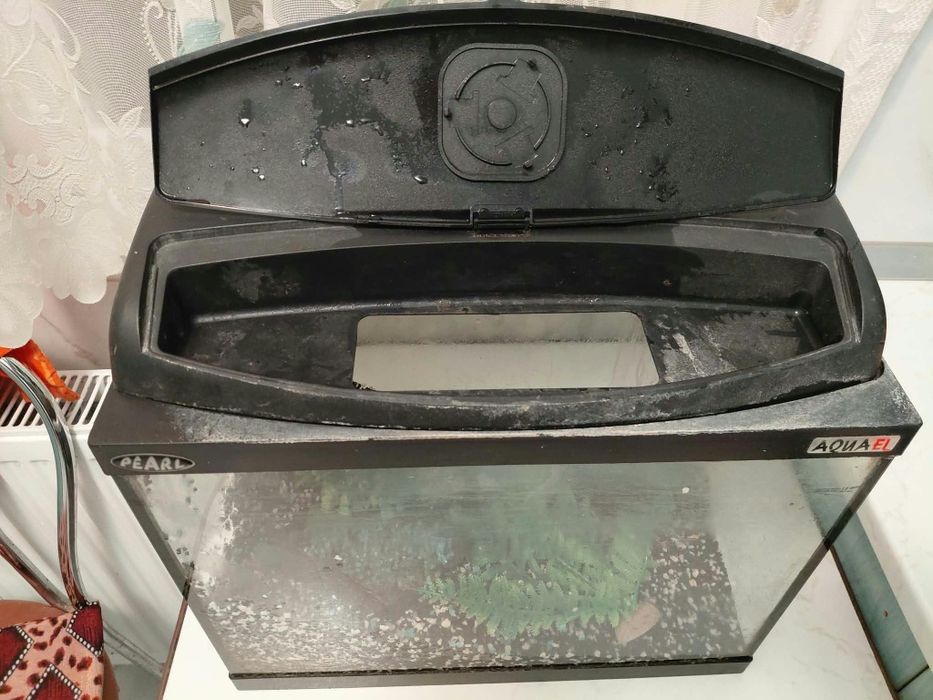 Acvariu de pesti 
Cu pompa de apa 
Si decor 
250 de lei negociabil