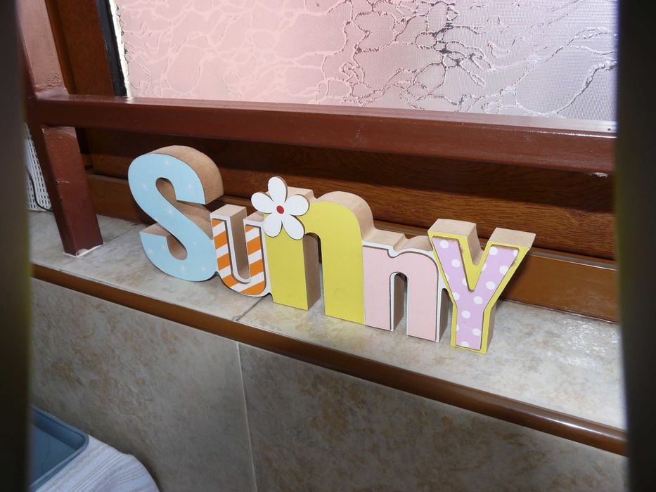 Panasonic Lumix FZ - 18