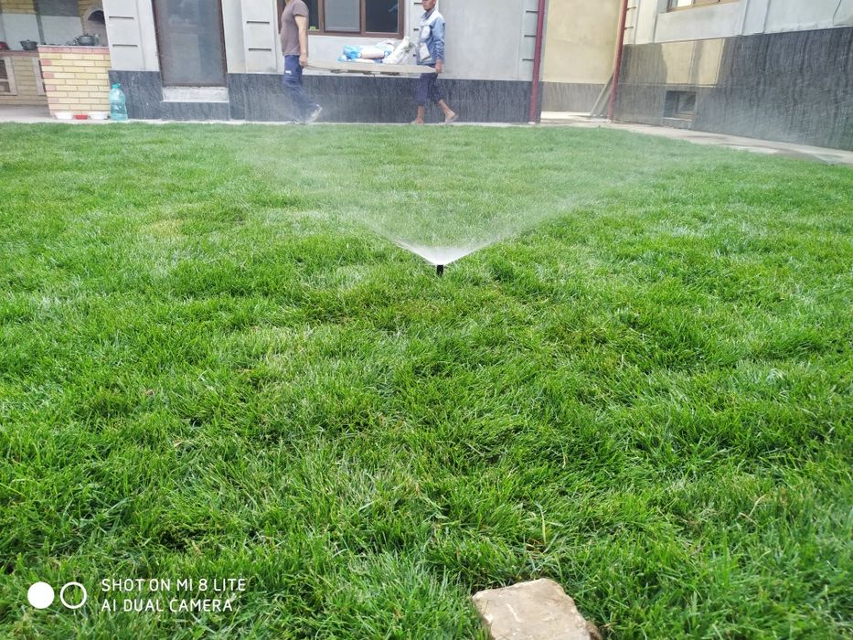 ландшафт дизайн. gazon daraxt gul ekamiz