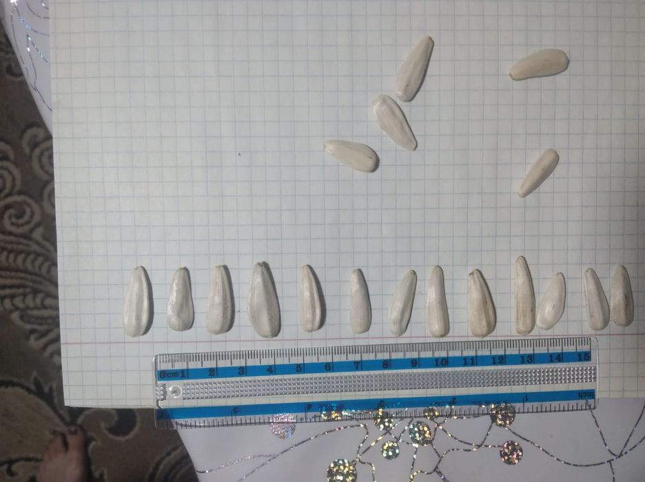 Белые семечки ...