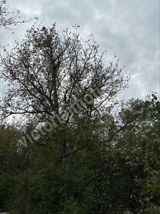 Продава се Къща в Велико Търново, м-т Козлуджа - 25 кв.м за 1200 €/кв.м - Снимка #1