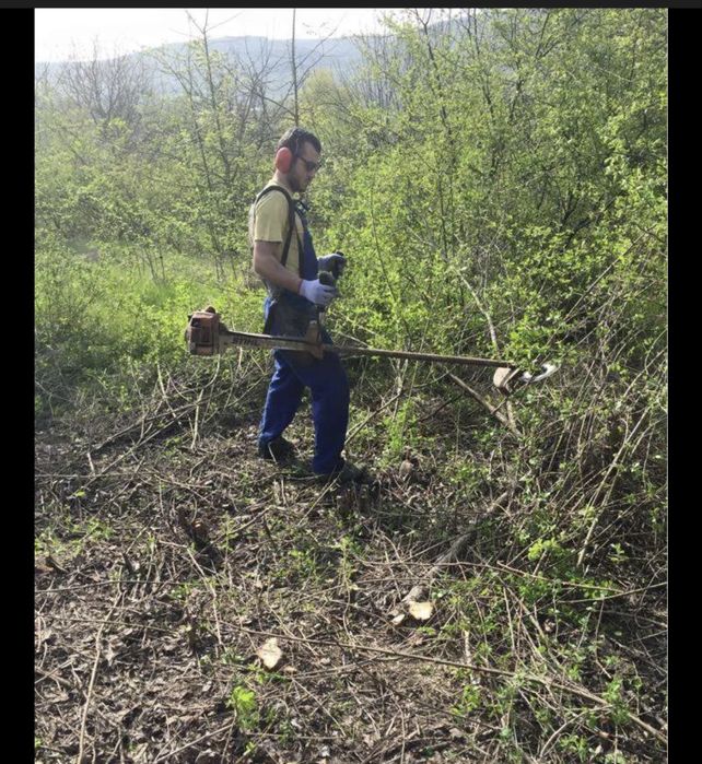 Чистене и извозване рязане на дървета