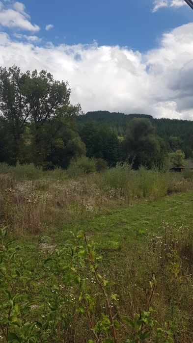 Продава се Парцел в Кюстендил, Бузлуджа - 4200 кв.м за 5 €/кв.м - Снимка #2