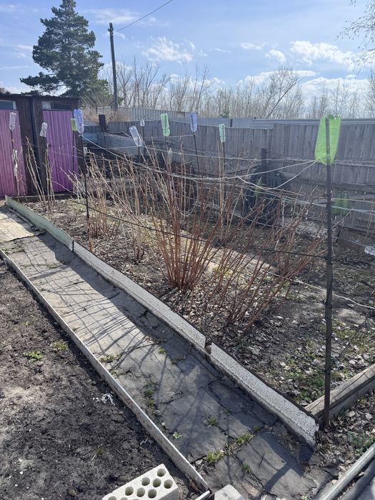 Продается садовый участок