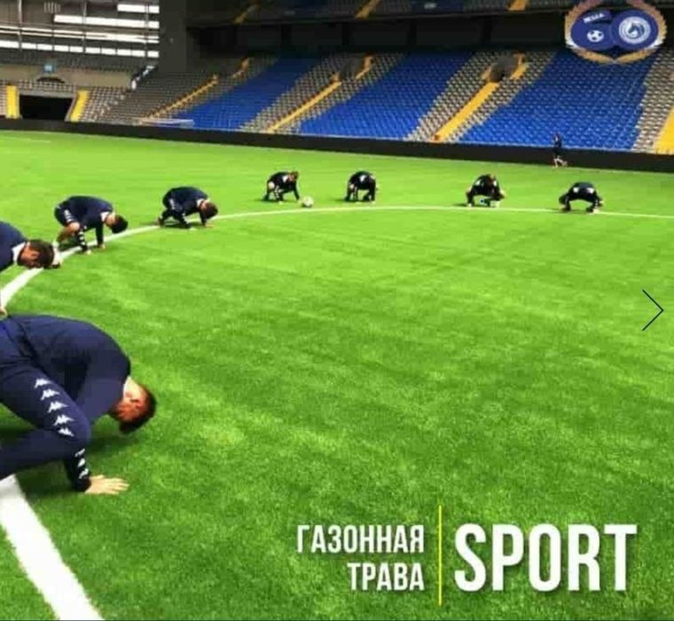 Семена газона (Быстрорастущие)