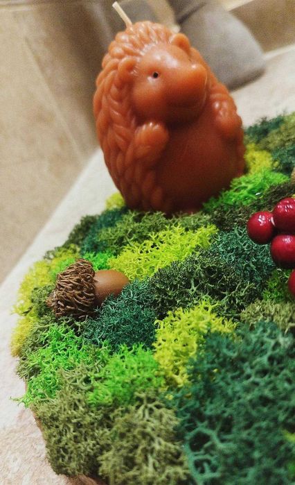 Икебана със скандинавски мъх