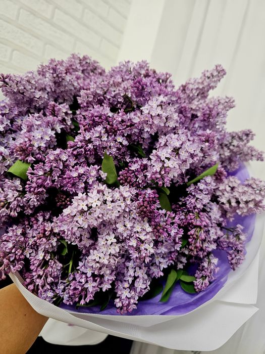 Большой букет сирени.