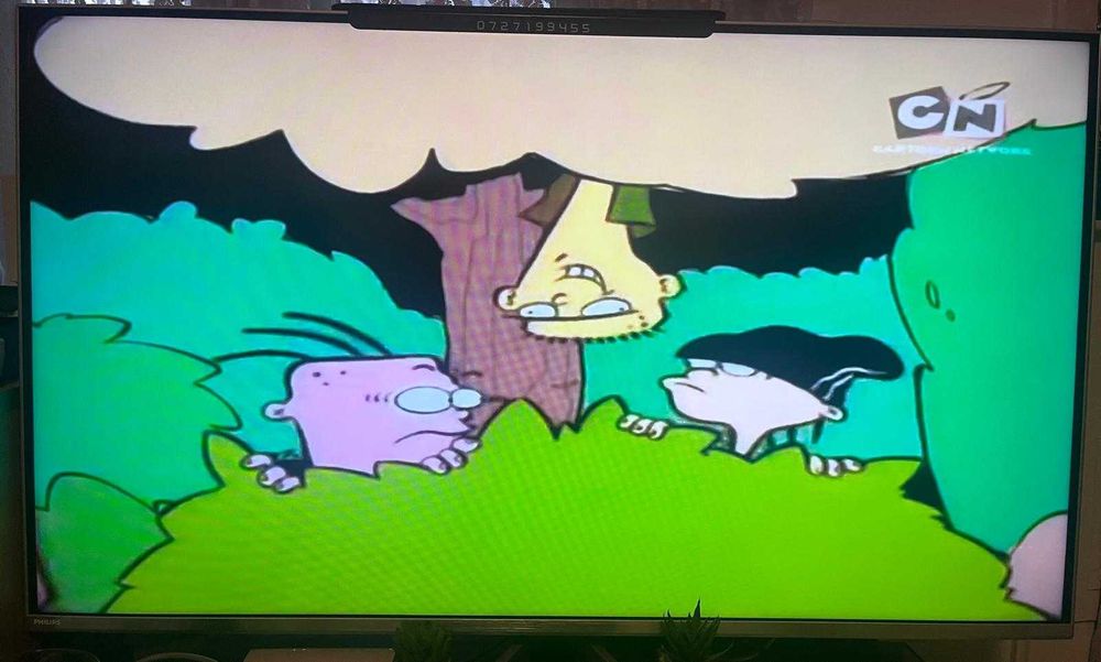 Serial animație Ed, Edd și Eddy