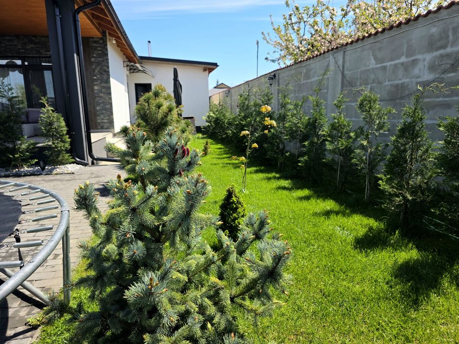 Casa 4 Camere teren 800 mp