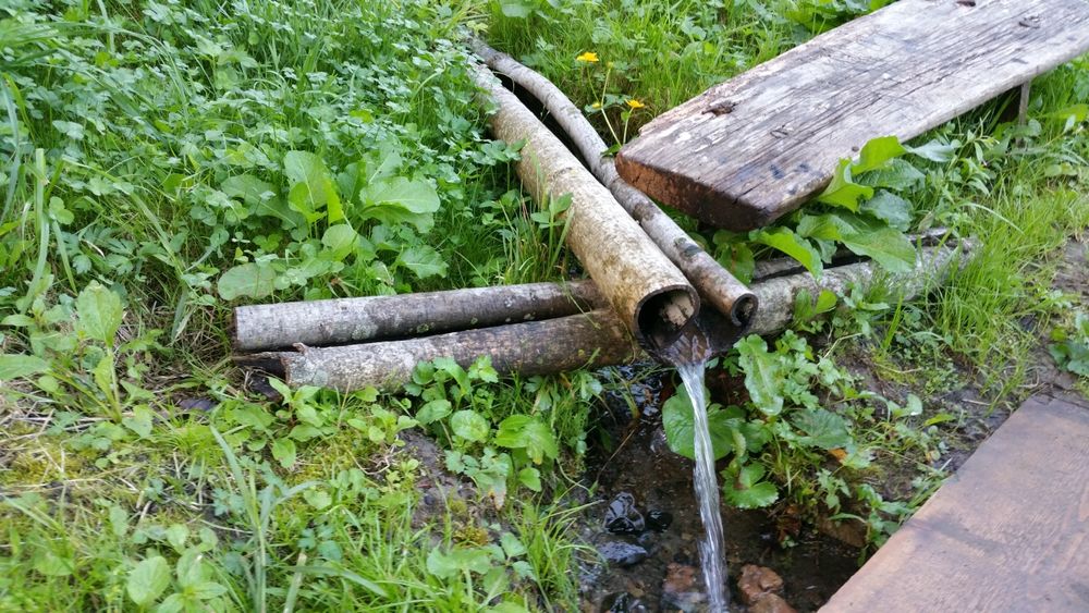 Casa traditionala Ramet 1.3 ha plus padure 3000m2  schimb mb trac 1600