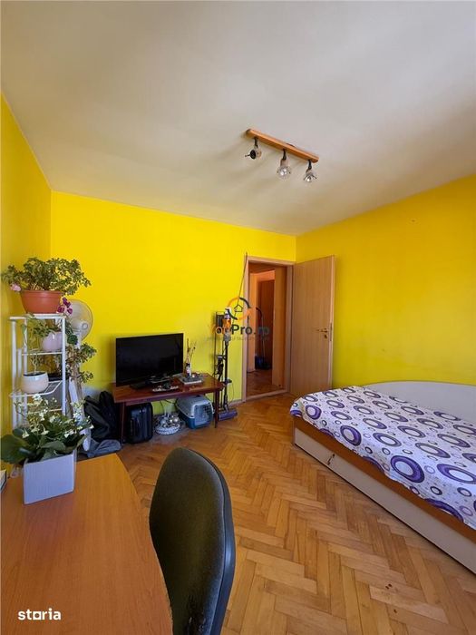 Apartament cu Centrala Complex Studentesc Olimpia