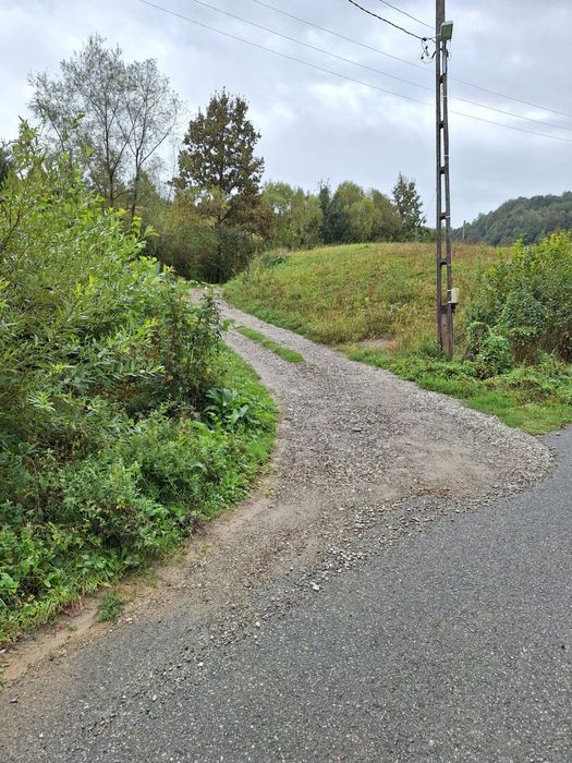 Vand teren intravilan si casa,Bistra, Valea Neagra, Maramures
