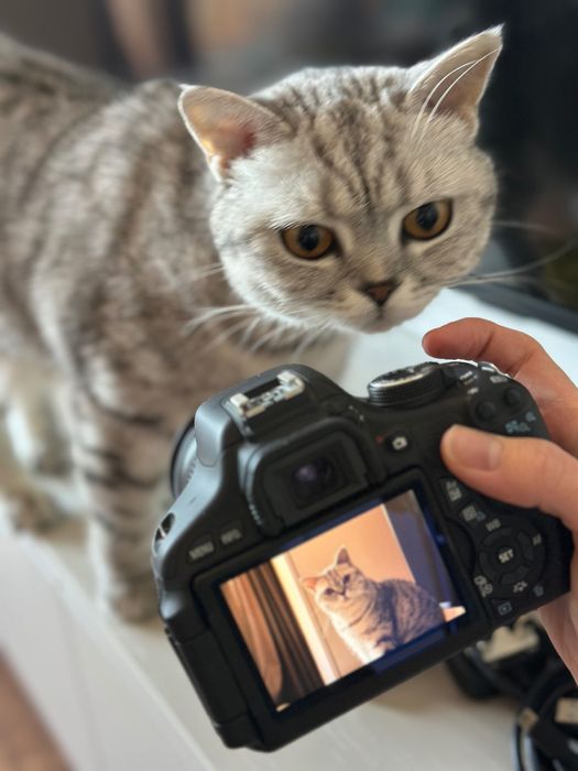 Камера Canon 600D