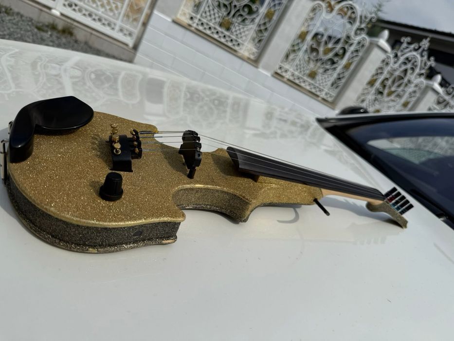 Zeta superba pentru tineret