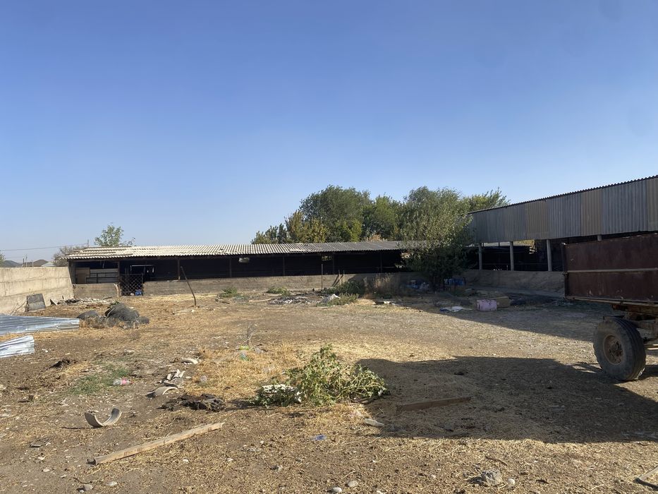 Сдаётся фирма на окраине города