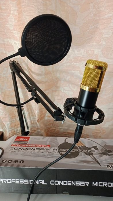 Professional Condenser Microphone BM-800.