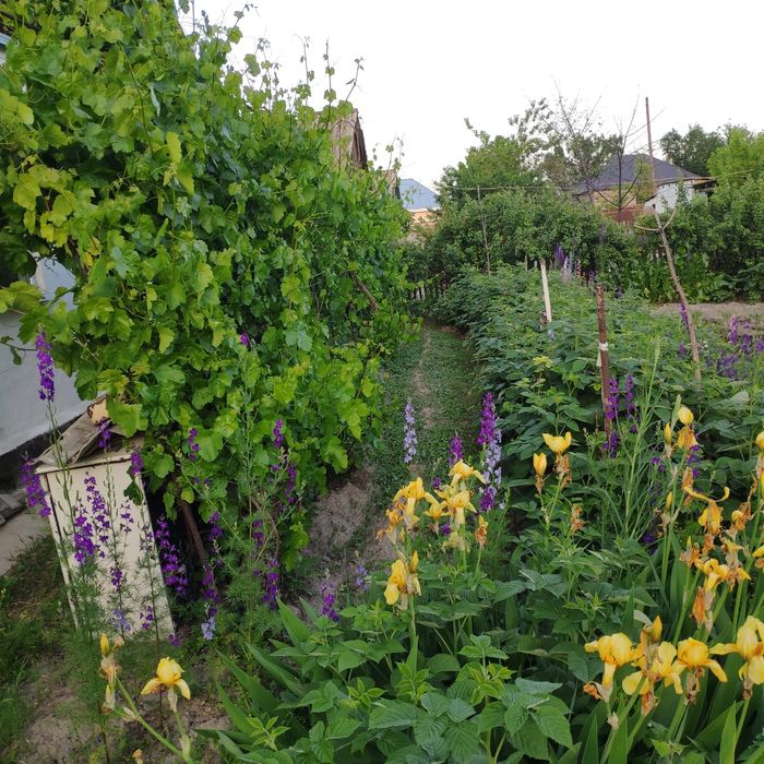 Продам дом в Пригородном