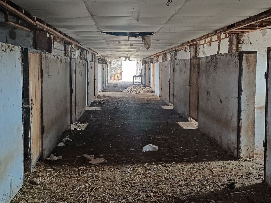 Продам крестьянское хозяйство.